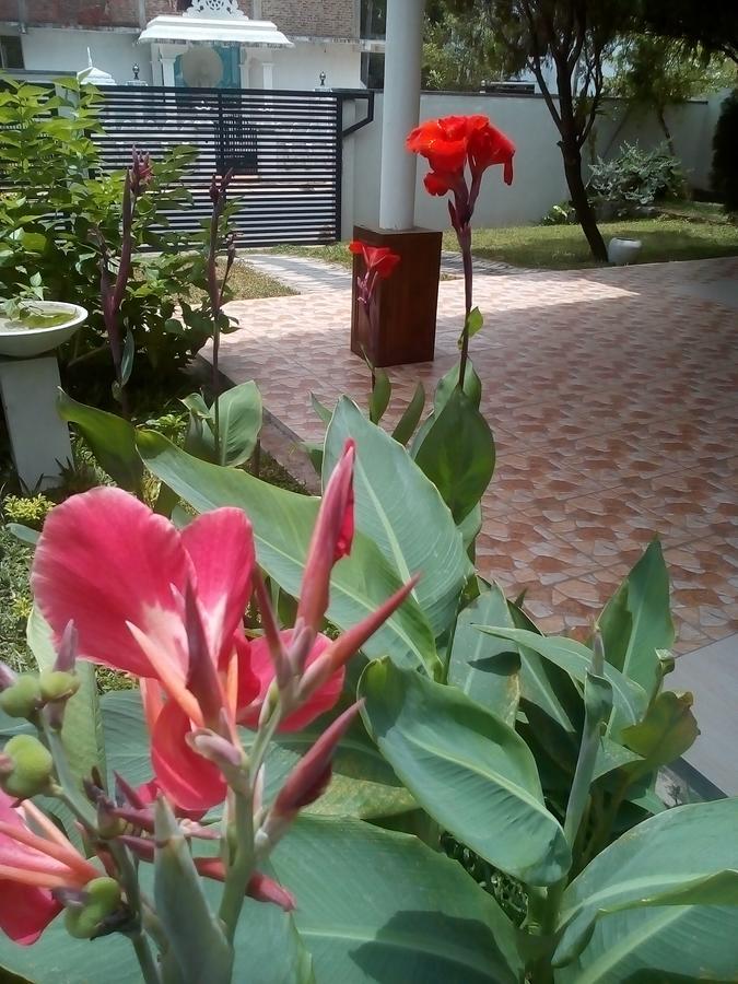 Villa 26 Bope Εξωτερικό φωτογραφία